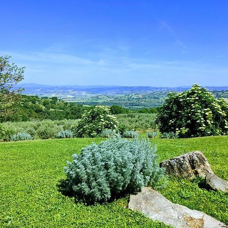 Agriturismo Podere Prataccio Гроссето Экстерьер фото