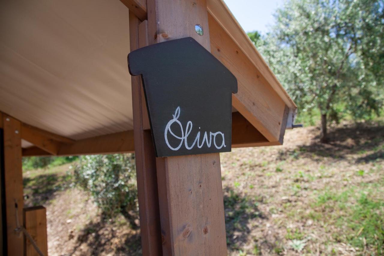 Agriturismo Podere Prataccio Гроссето Экстерьер фото