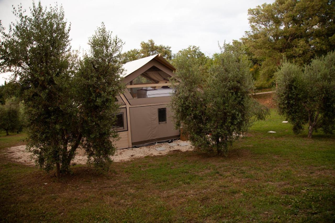 Agriturismo Podere Prataccio Гроссето Экстерьер фото